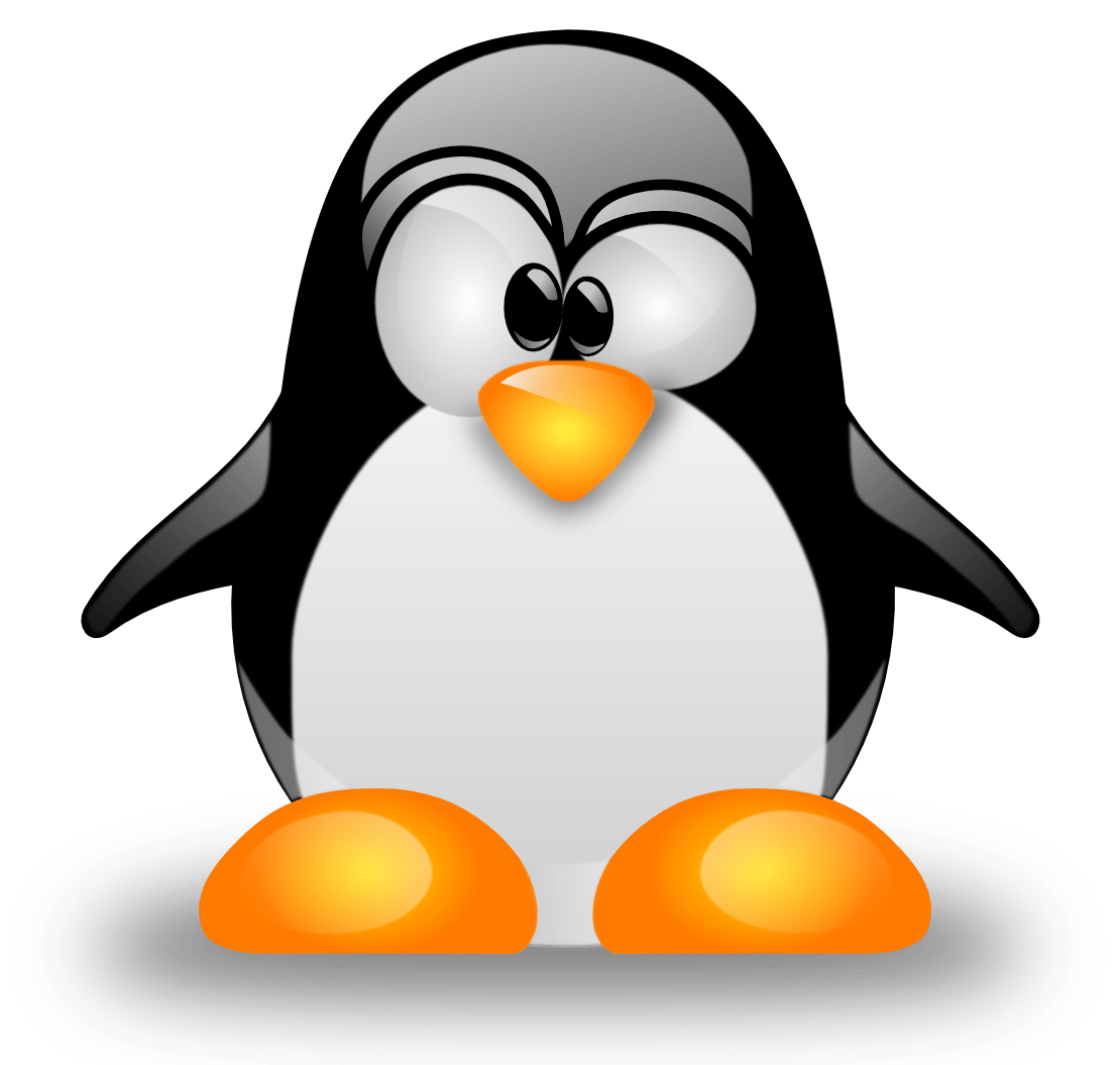 Linux sunucularda LVM disk genişletme