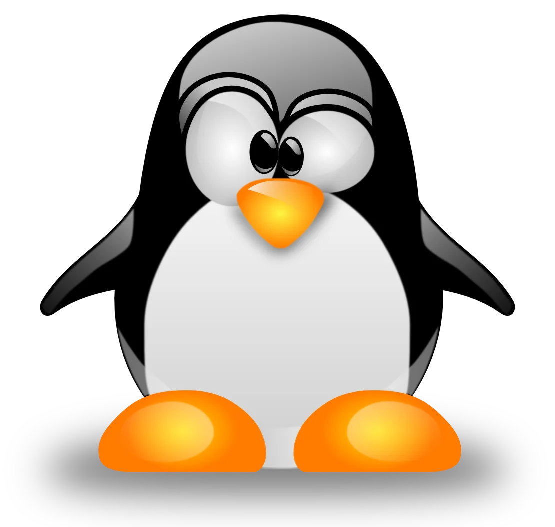 Linux sunucularda LVM disk genişletme
